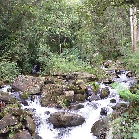 Apartamento Ferias Fazenda Usina 1 Bocaina de Minas Eksteriør billede