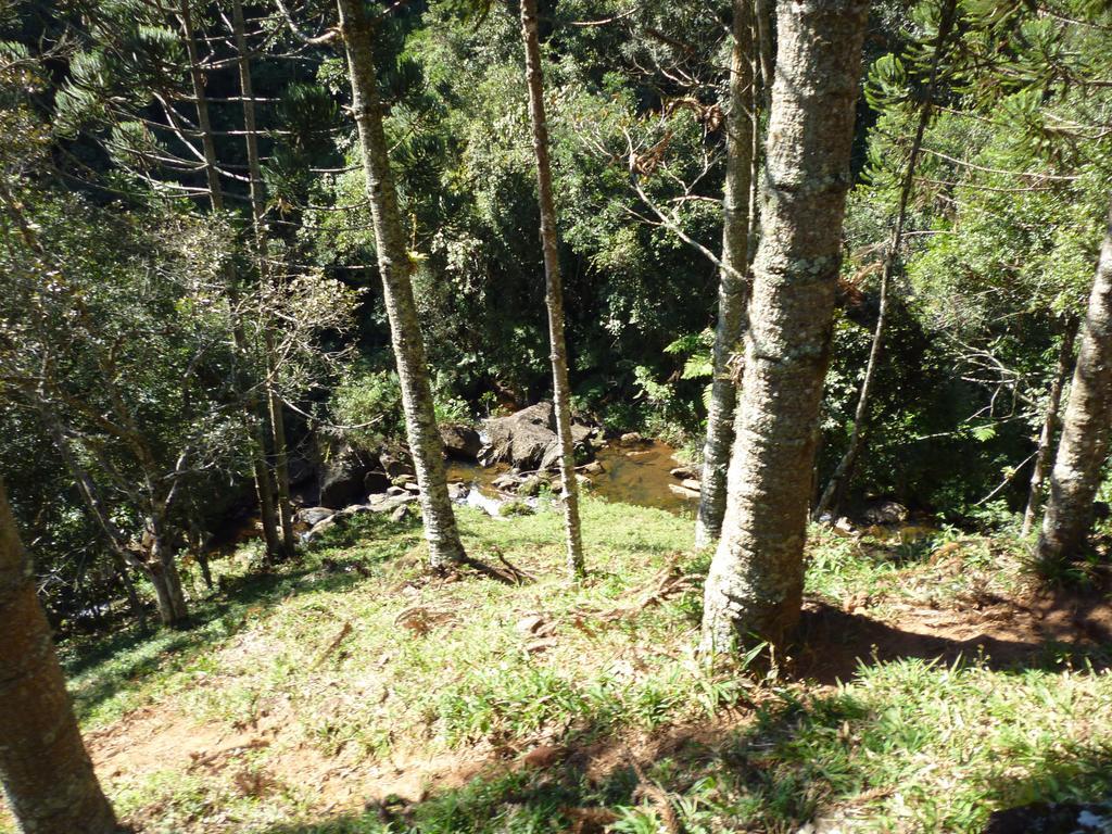 Apartamento Ferias Fazenda Usina 1 Bocaina de Minas Eksteriør billede