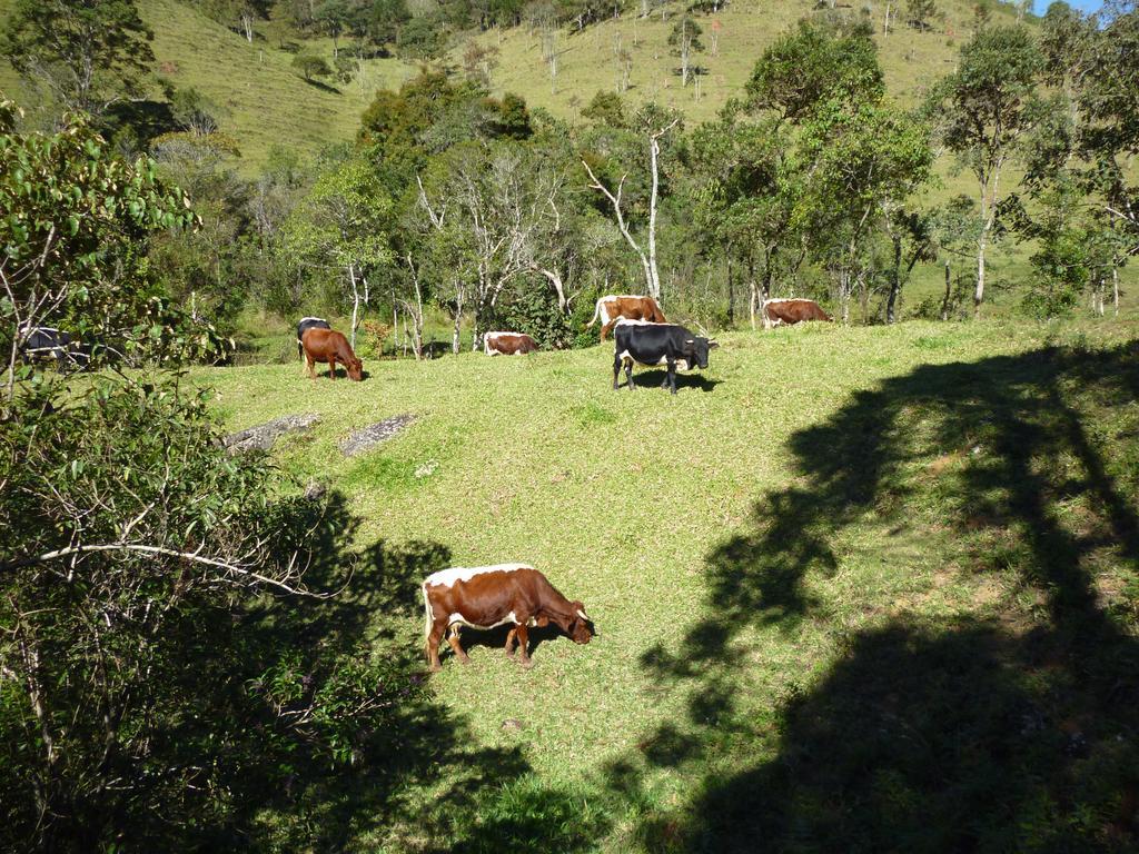 Apartamento Ferias Fazenda Usina 1 Bocaina de Minas Eksteriør billede