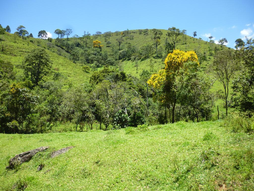 Apartamento Ferias Fazenda Usina 1 Bocaina de Minas Eksteriør billede