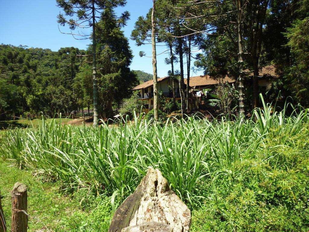 Apartamento Ferias Fazenda Usina 1 Bocaina de Minas Eksteriør billede