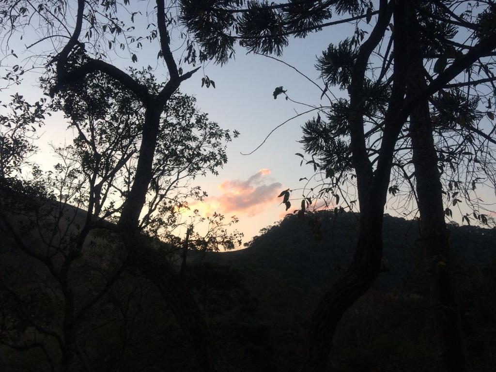 Apartamento Ferias Fazenda Usina 1 Bocaina de Minas Eksteriør billede