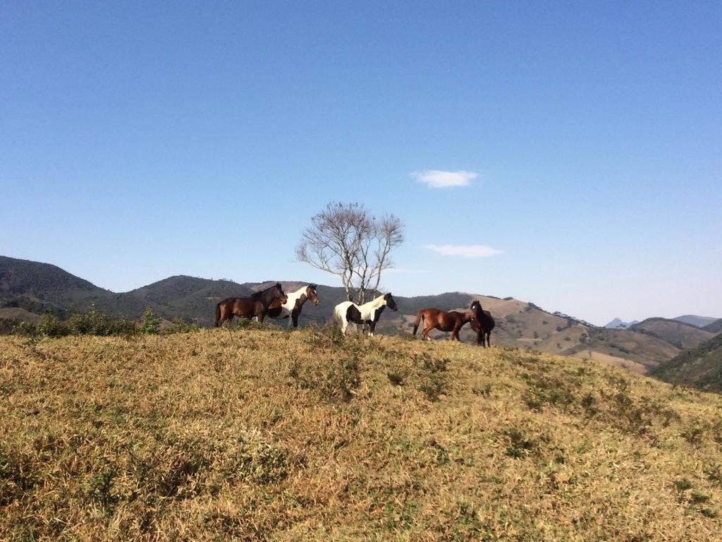 Apartamento Ferias Fazenda Usina 1 Bocaina de Minas Eksteriør billede