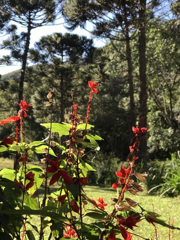 Apartamento Ferias Fazenda Usina 1 Bocaina de Minas Eksteriør billede
