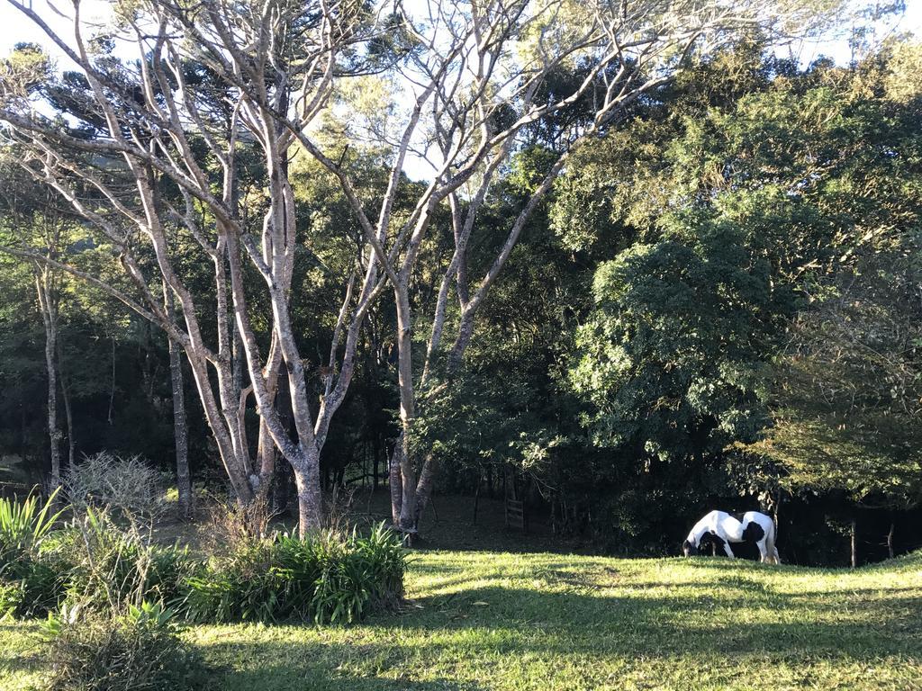Apartamento Ferias Fazenda Usina 1 Bocaina de Minas Eksteriør billede